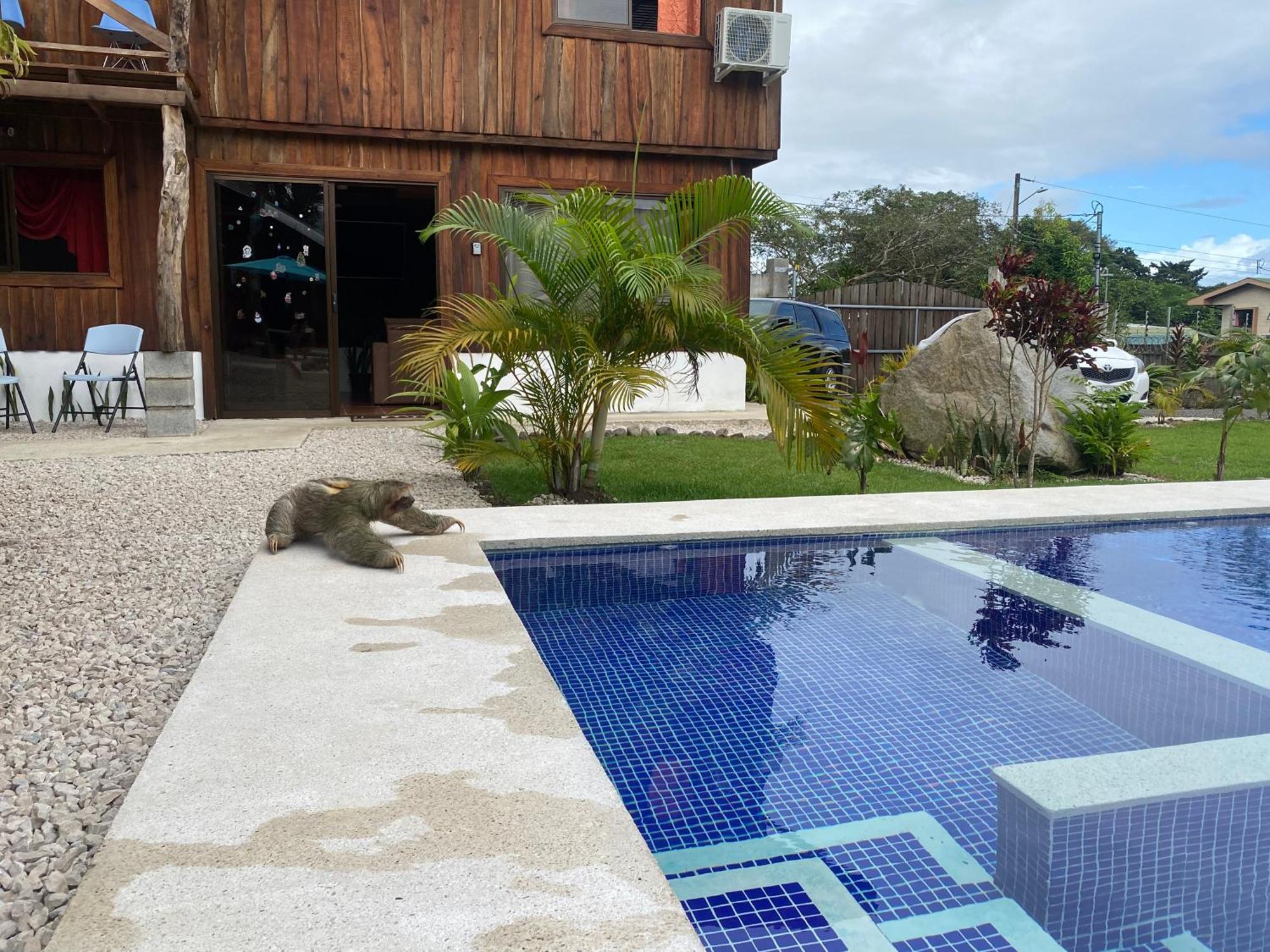Cabanas Litos #2 La Fortuna Dış mekan fotoğraf